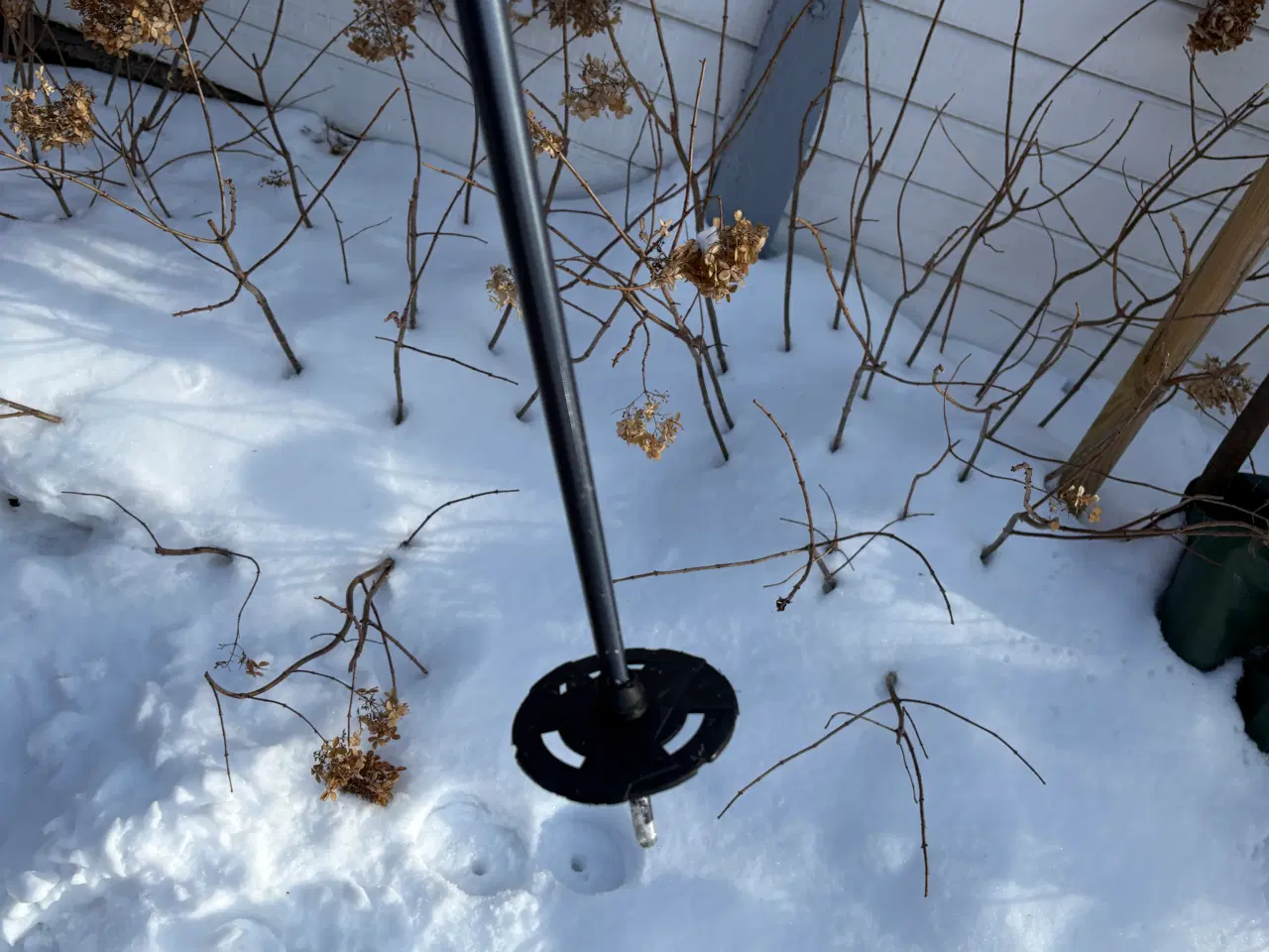 Billede 2 - Salomon skistave 125 cm