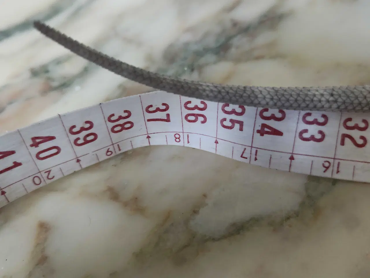 Billede 4 - Skægagame