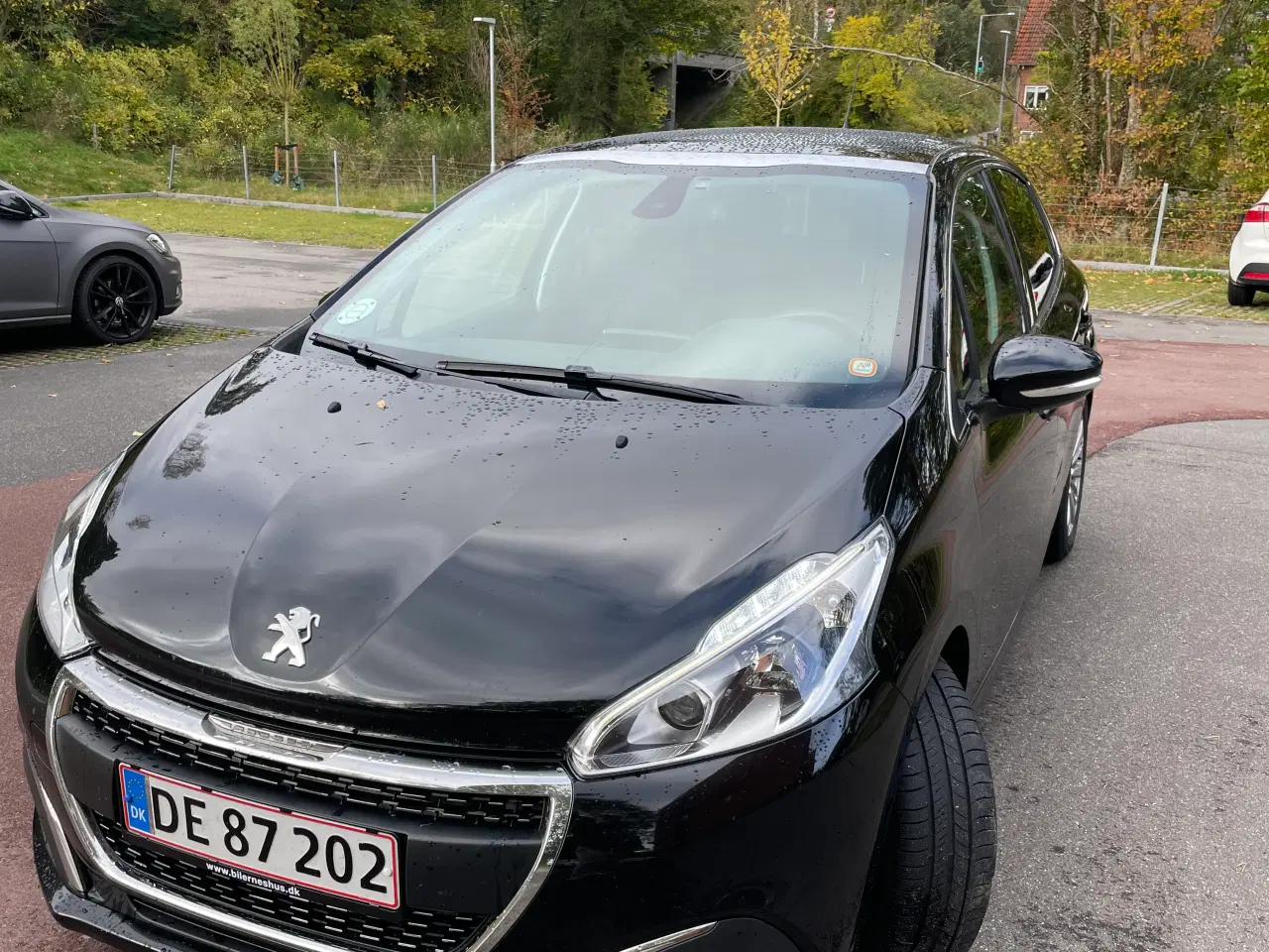 Billede 17 - Peugeot 208 1,5 BlueHDi 100 Signature Sky 5d