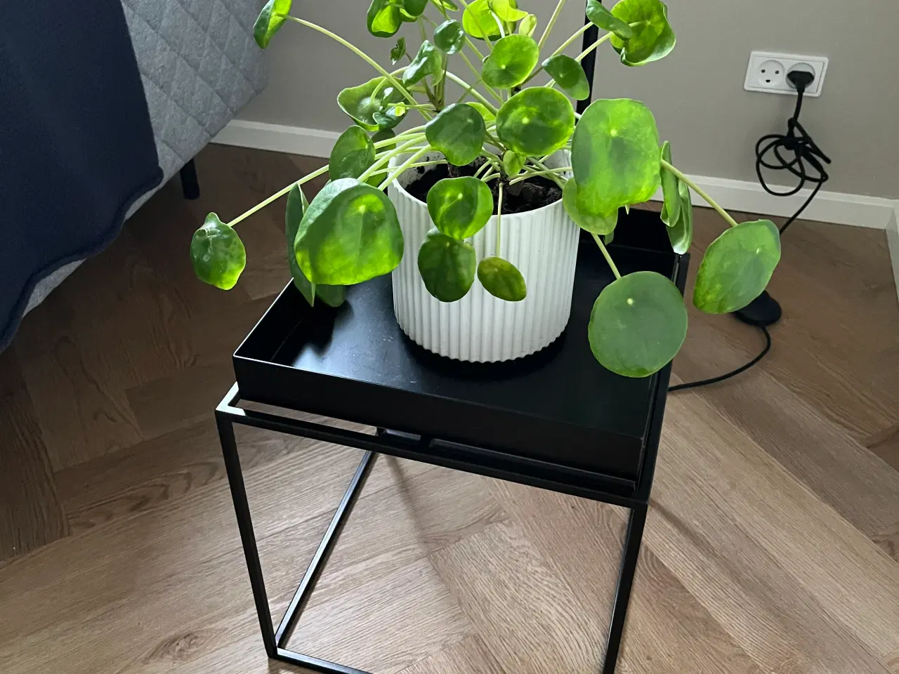 Billede 1 - HAY Tray Table 40 x 40 cm Sort Metal