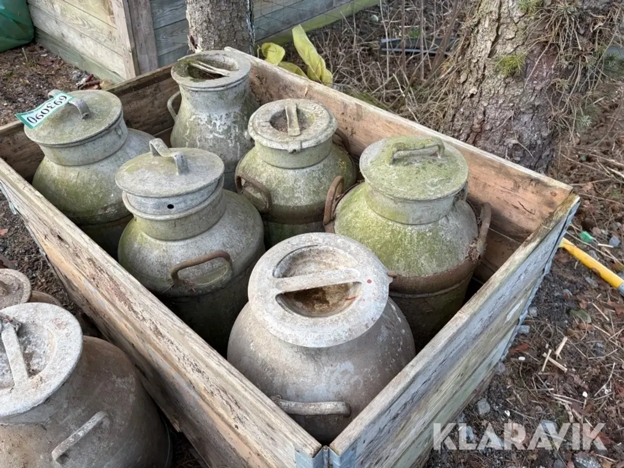 Billede 4 - Mælkejunger 12 styk samlet lot