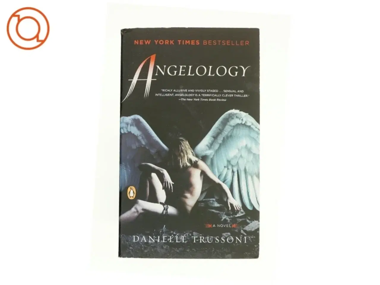 Billede 1 - Angelology af Danielle Trussoni (Bog)