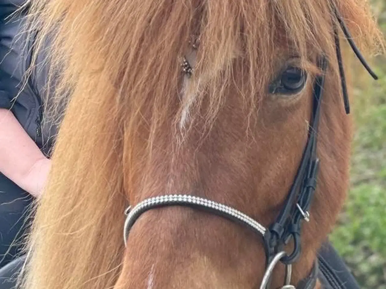 Billede 1 - Jule tilbud