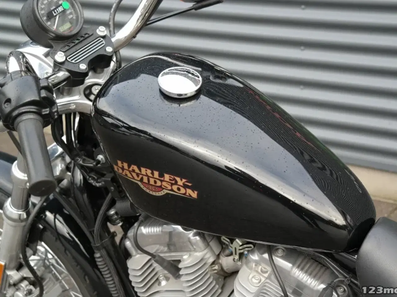 Billede 23 - Harley-Davidson XL883L MC-SYD       BYTTER GERNE