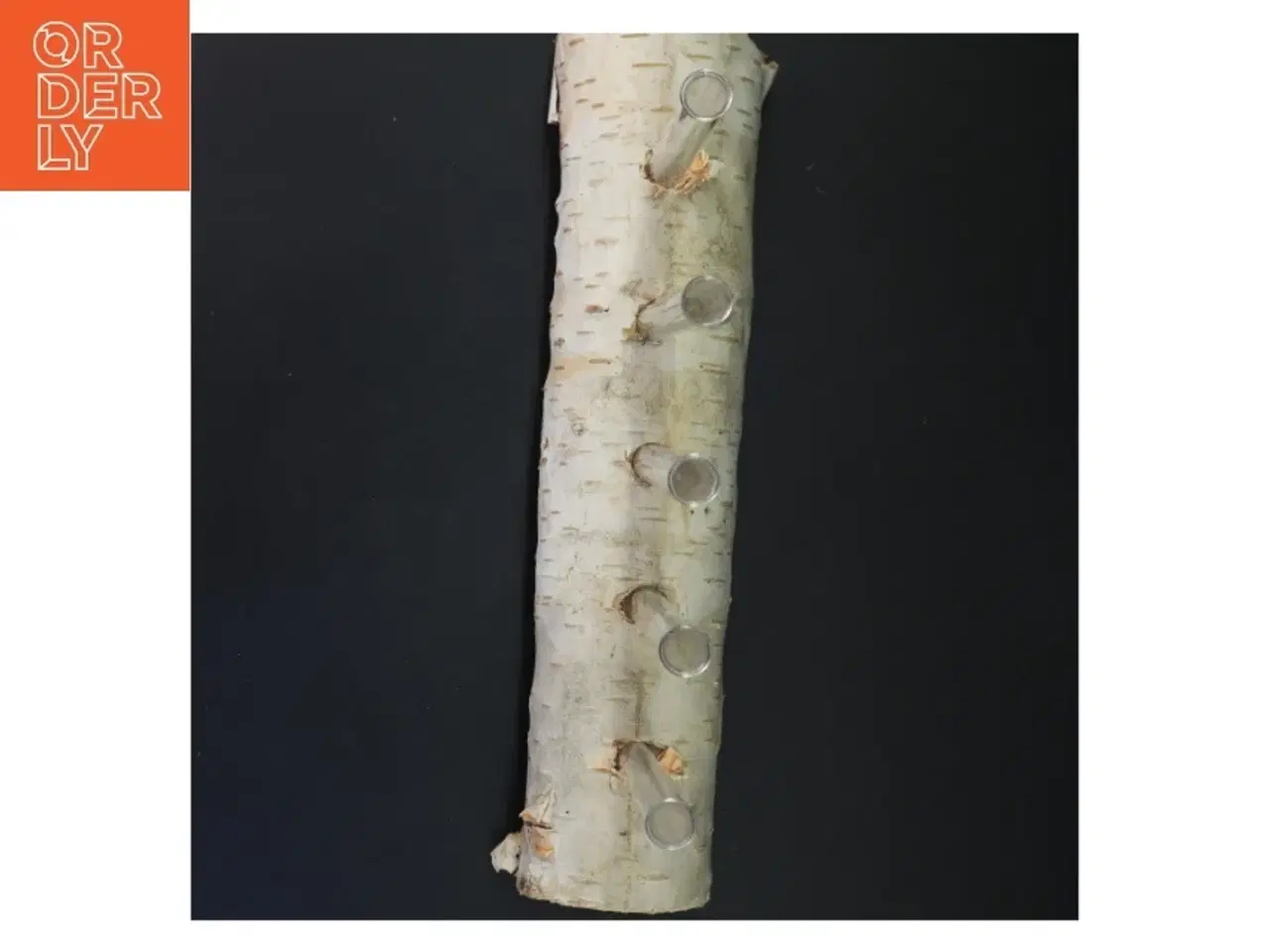 Billede 2 - Unik blomsterholder i birketræ med reagensglas (str. 35x21 cm)