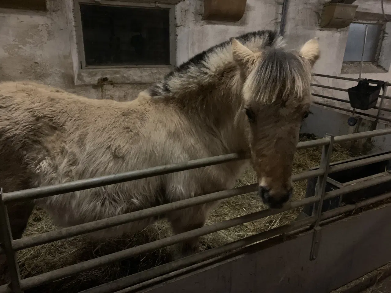 Billede 1 - Evt bytte