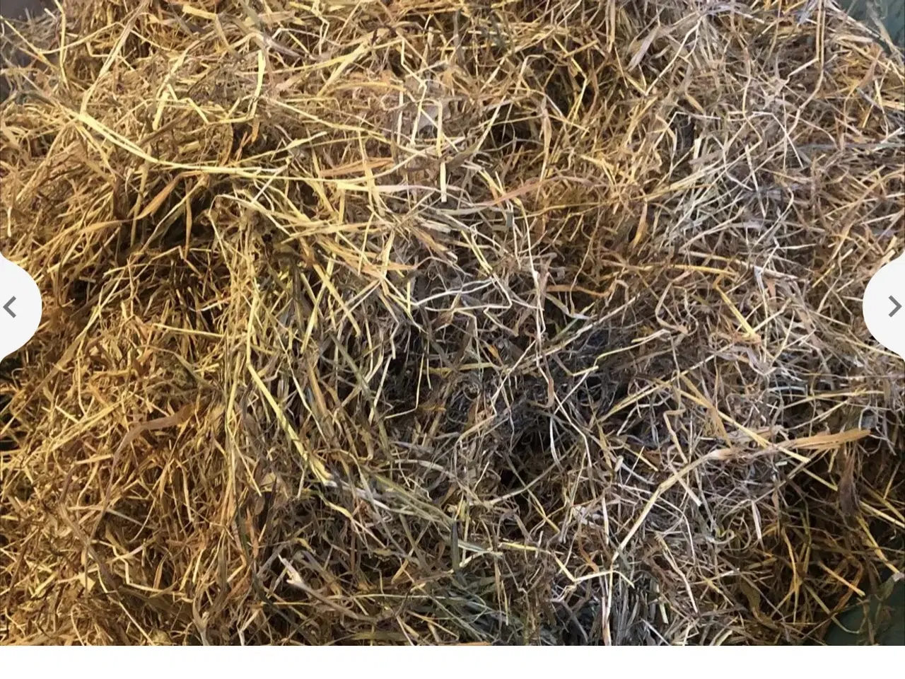 Billede 1 - Kvalitets wrap til heste