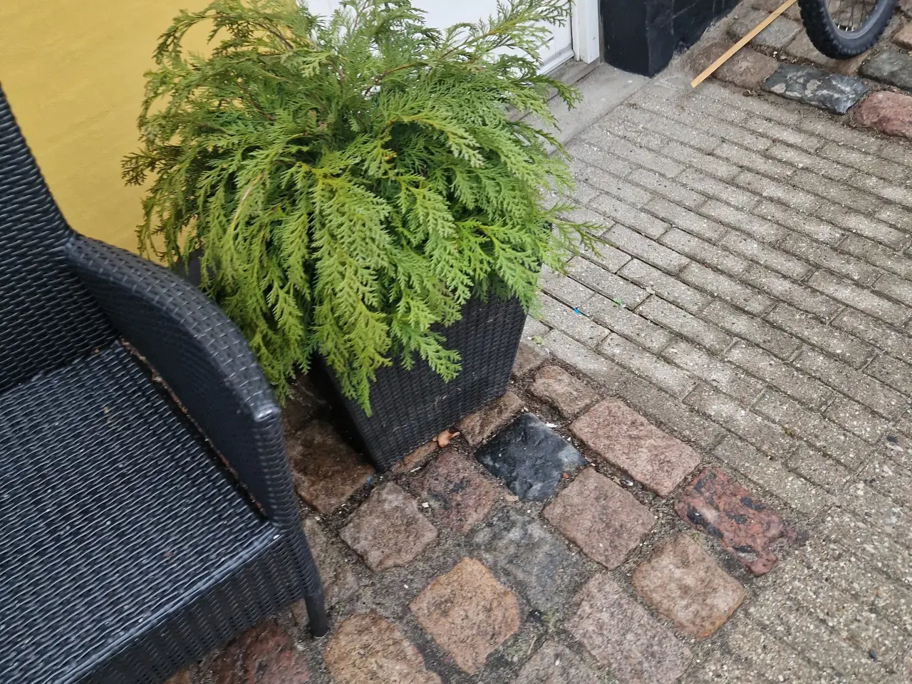 Billede 1 - 4 havestole med lille bord og blomsterkasse