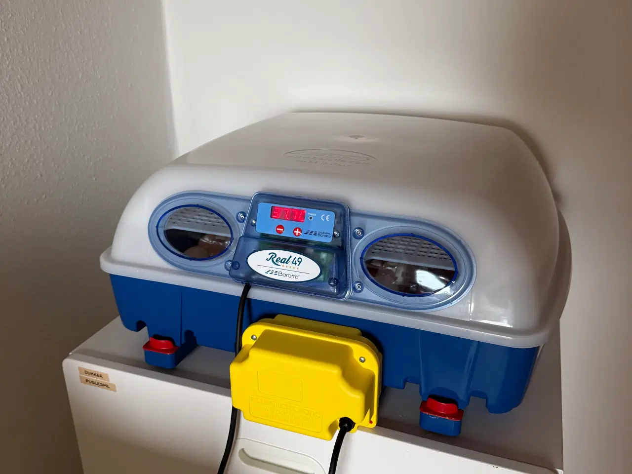 Billede 2 - Tilbyder udrugningen af din æg 