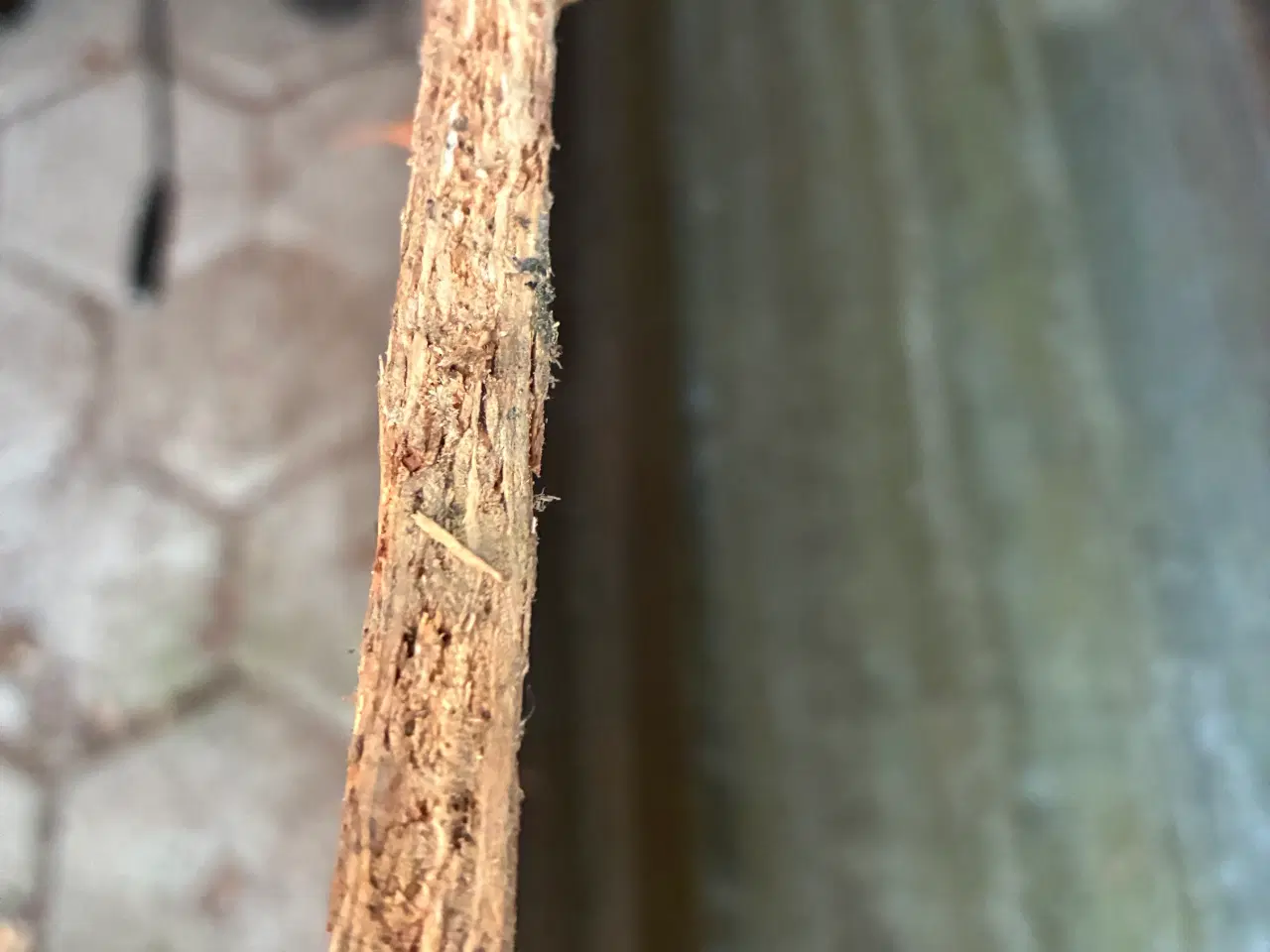 Billede 3 - 8mm OSB plader