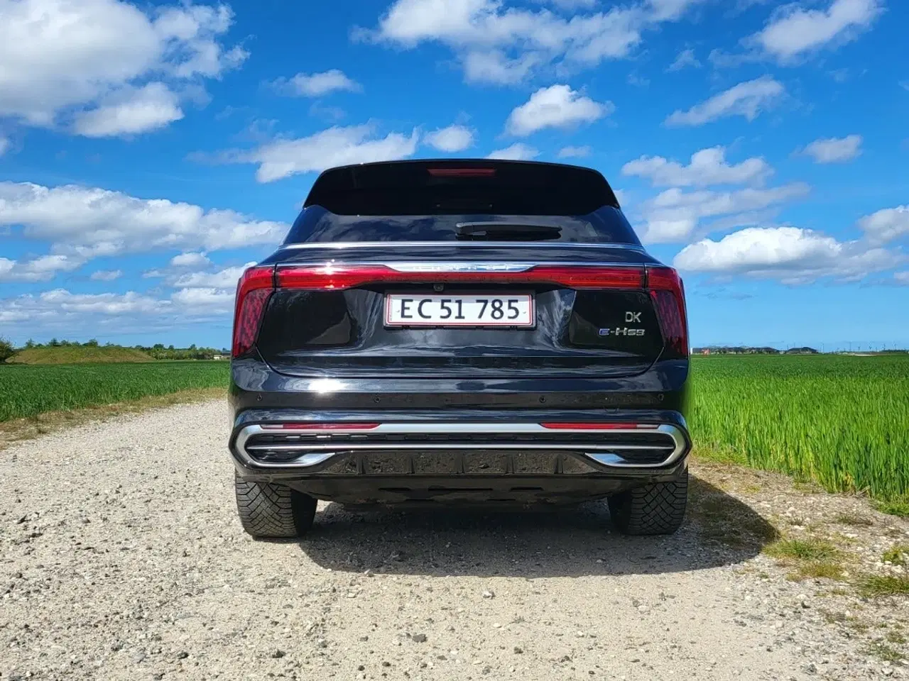 Billede 5 - Hongqi E-HS9 99 Premium Black Edition