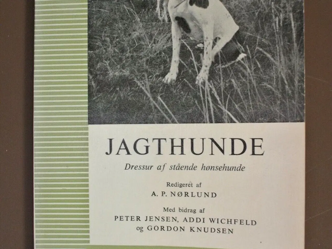 Billede 1 - jagthunde - dressur af stående hønsehunde, red. af