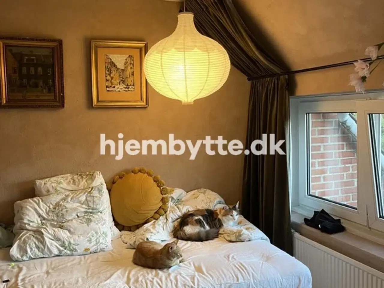 Billede 6 - Hjembytte - Saxogade