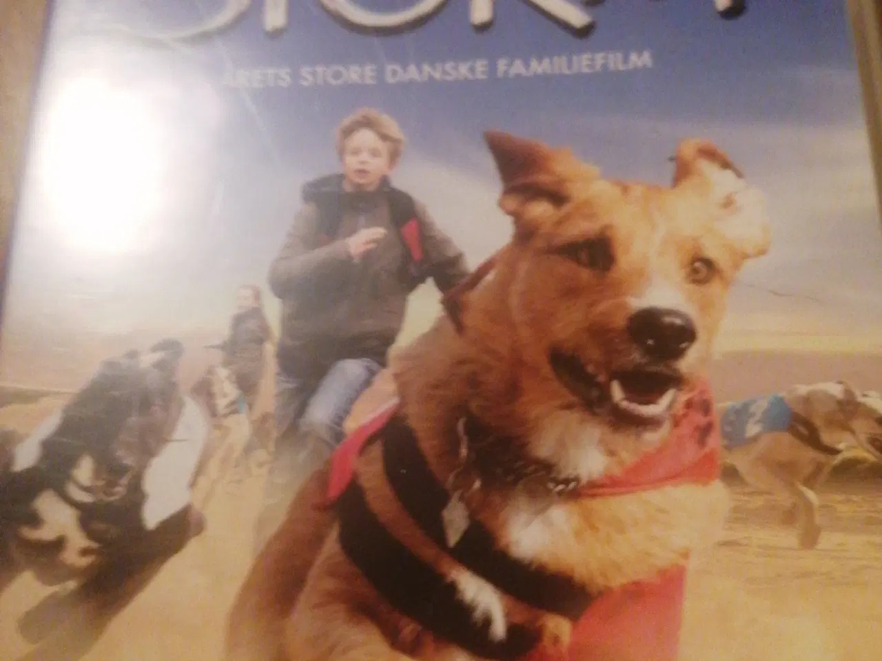 Billede 5 - Dvd film sælges