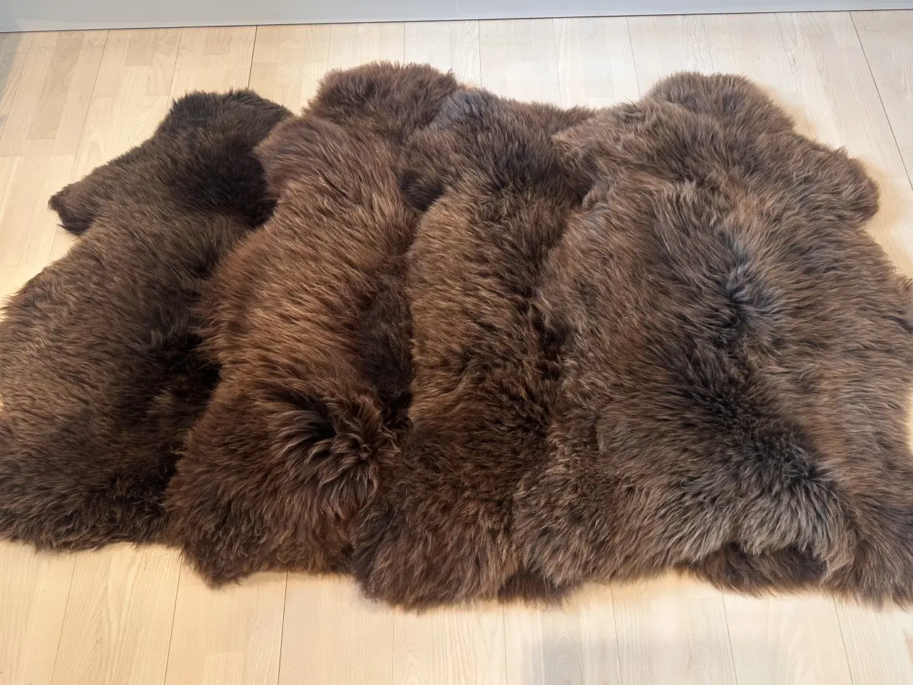 Billede 2 - 4 helt nye lammeskind