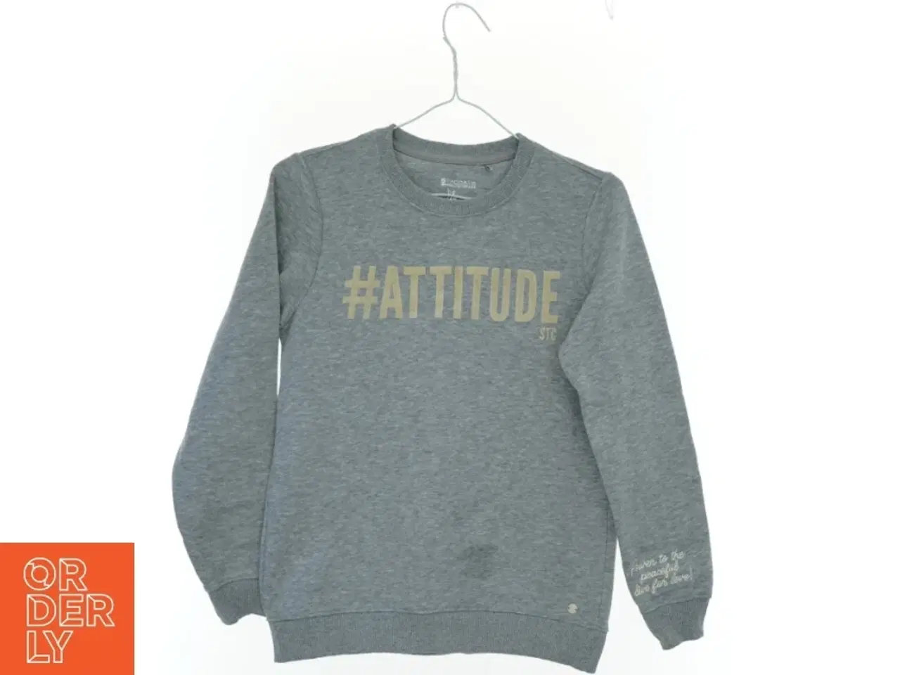 Billede 1 - Sweatshirt (str. 164 cm)