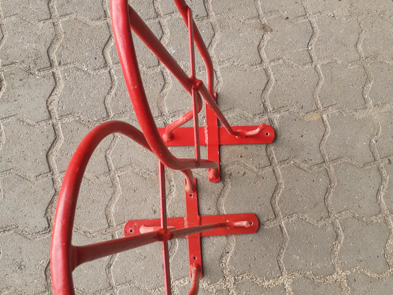 Billede 1 - Saddelknægte. 