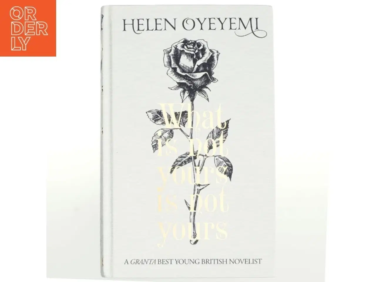 Billede 1 - What is not yours is not yours af Helen Oyeyemi (Bog)