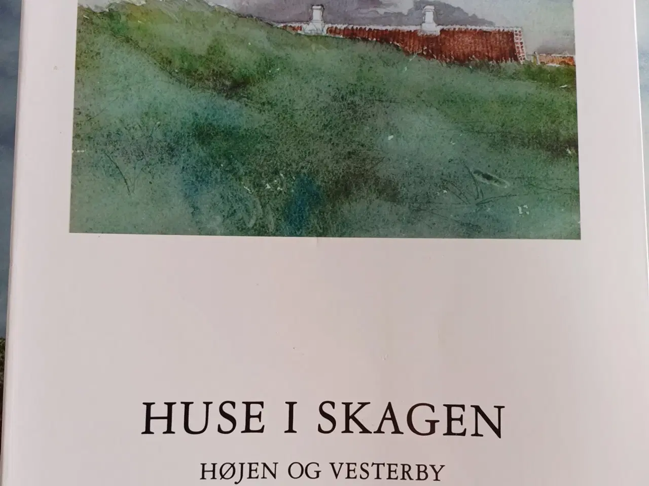 Billede 1 - Huse I Skagen I 