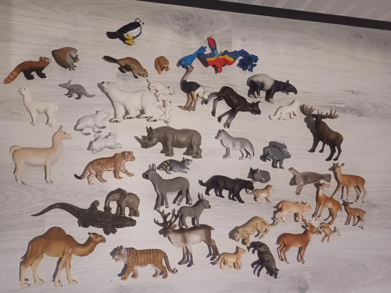 Billede 1 - Schleich- vilde dyr