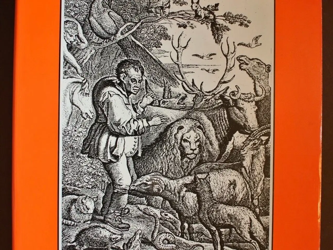Billede 1 - æsops fabler, gendigtet og med moraler af vagn lun