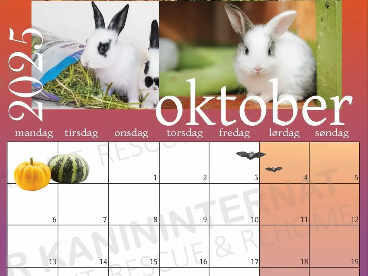 Billede 4 - Kalender 