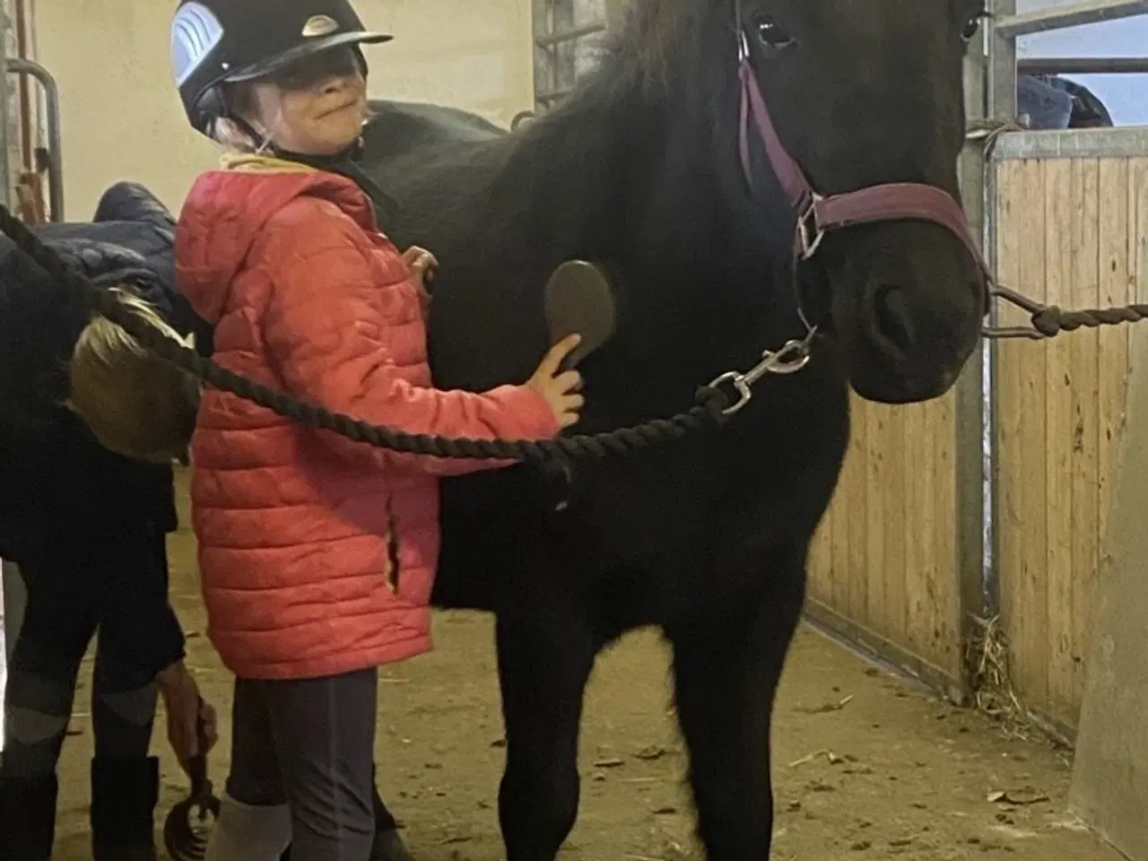 Billede 1 - Skøn turpony søger nyt hjem