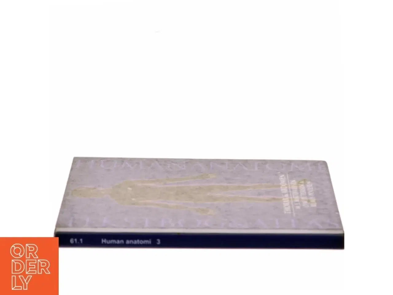 Billede 2 - Human anatomi: Thorax & abdomen af M.E. Matthiesen (Bog)