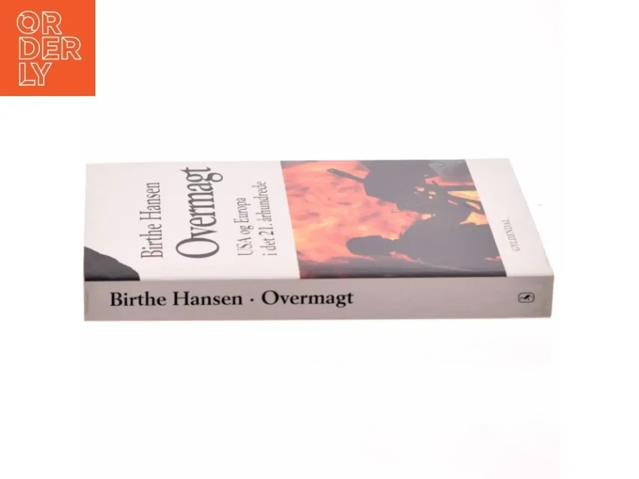 Billede 2 - Overmagt : USA og Europa i det 21. århundrede af Birthe Hansen (f. 1960) (Bog)