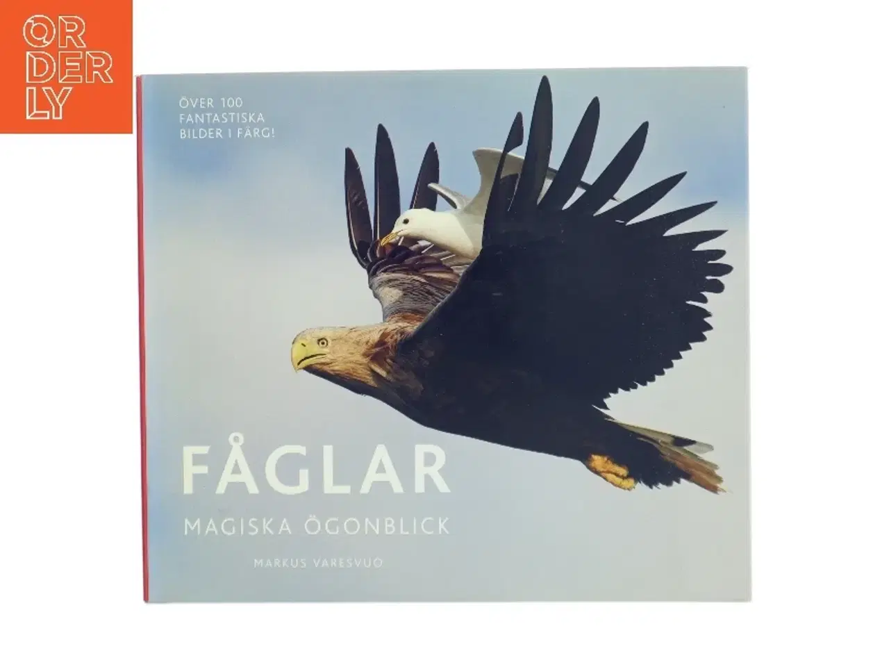 Billede 1 - Fåglar af Markus Varesvuo (Bog)