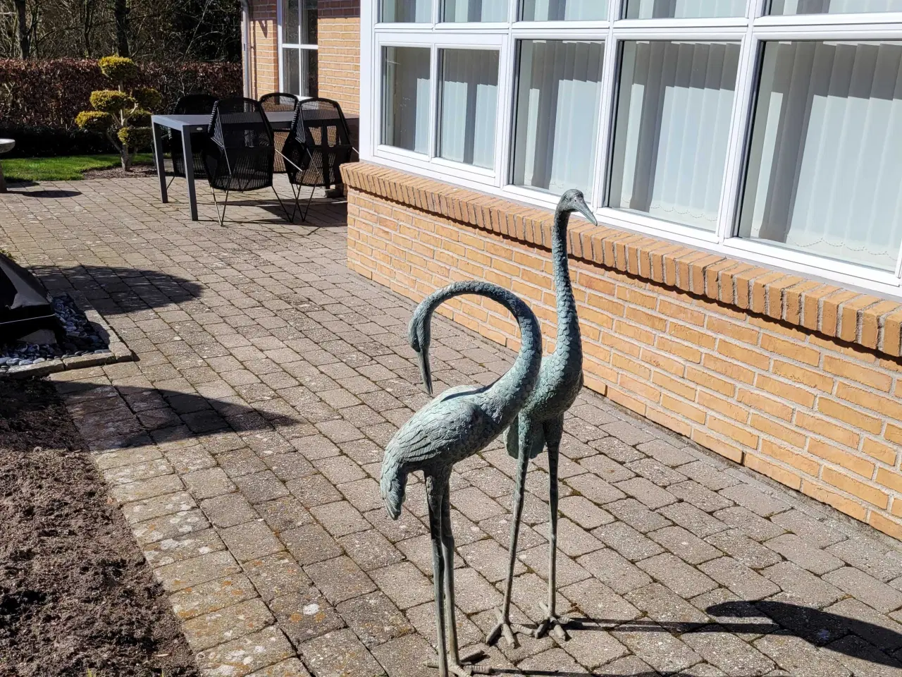 Billede 3 - Grønirret Tranepar