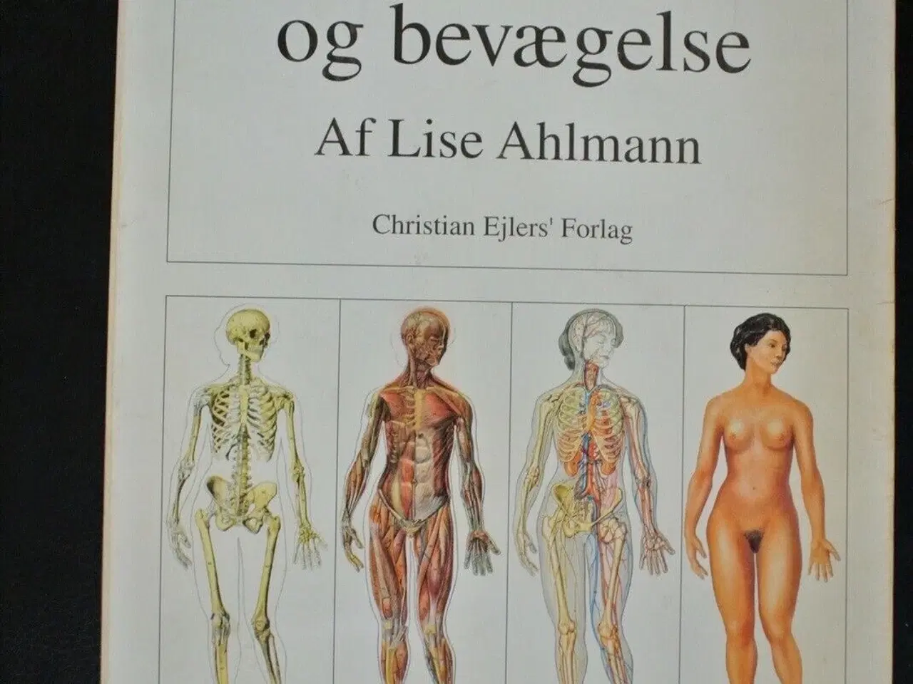 Billede 1 - anatomi og bevægelse, af lise ahlmann, emne: krop 