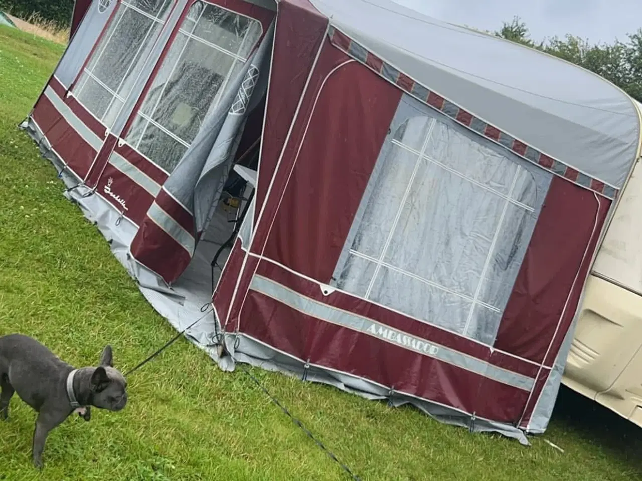 Billede 1 - Isabella fortelt a mål 775