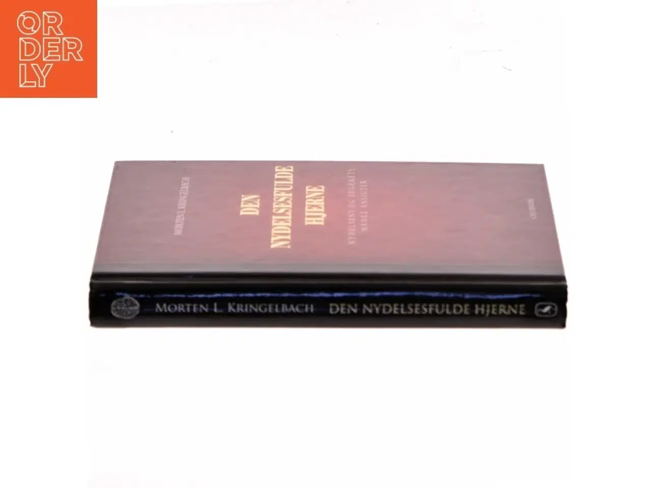 Billede 2 - Psykologi - Den nydelsesfulde hjerne : nydelsens og begærets mange ansigter af Morten Kringelbach (Bog)