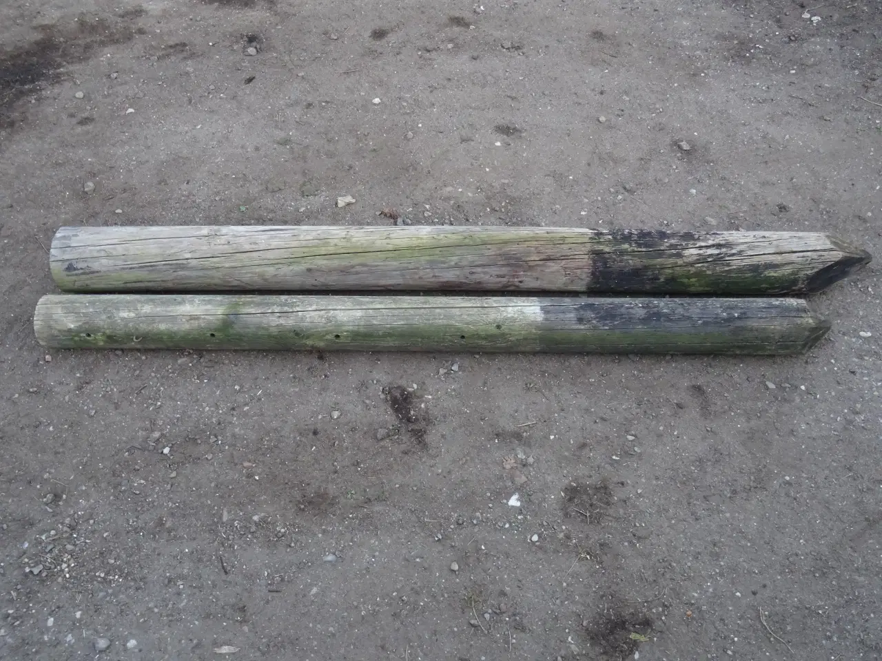 Billede 1 - Telefonpæle 2 stk på 225cm og 245cm lange