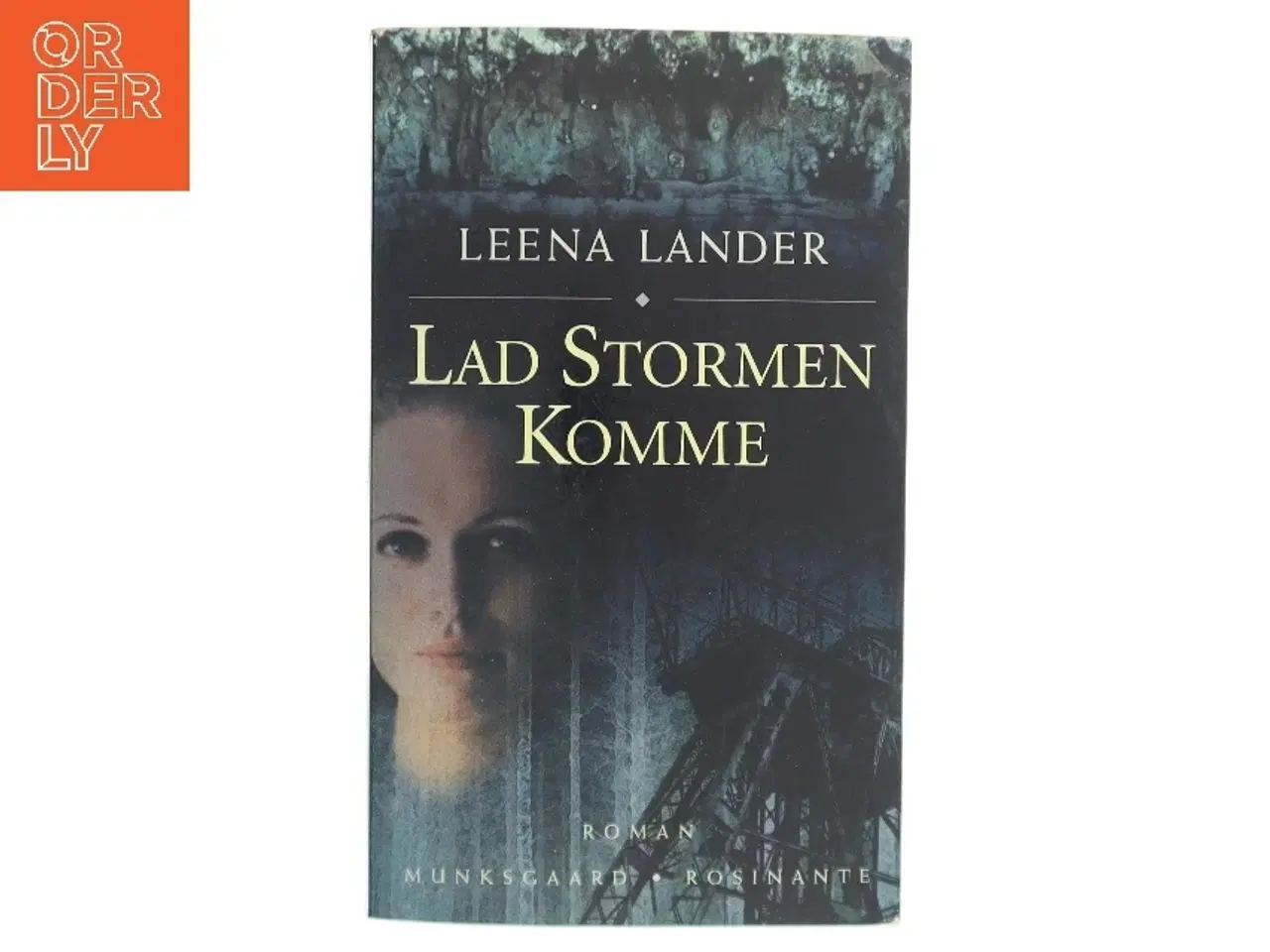 Billede 1 - Lad stormen komme : roman af Leena Lander (Bog)