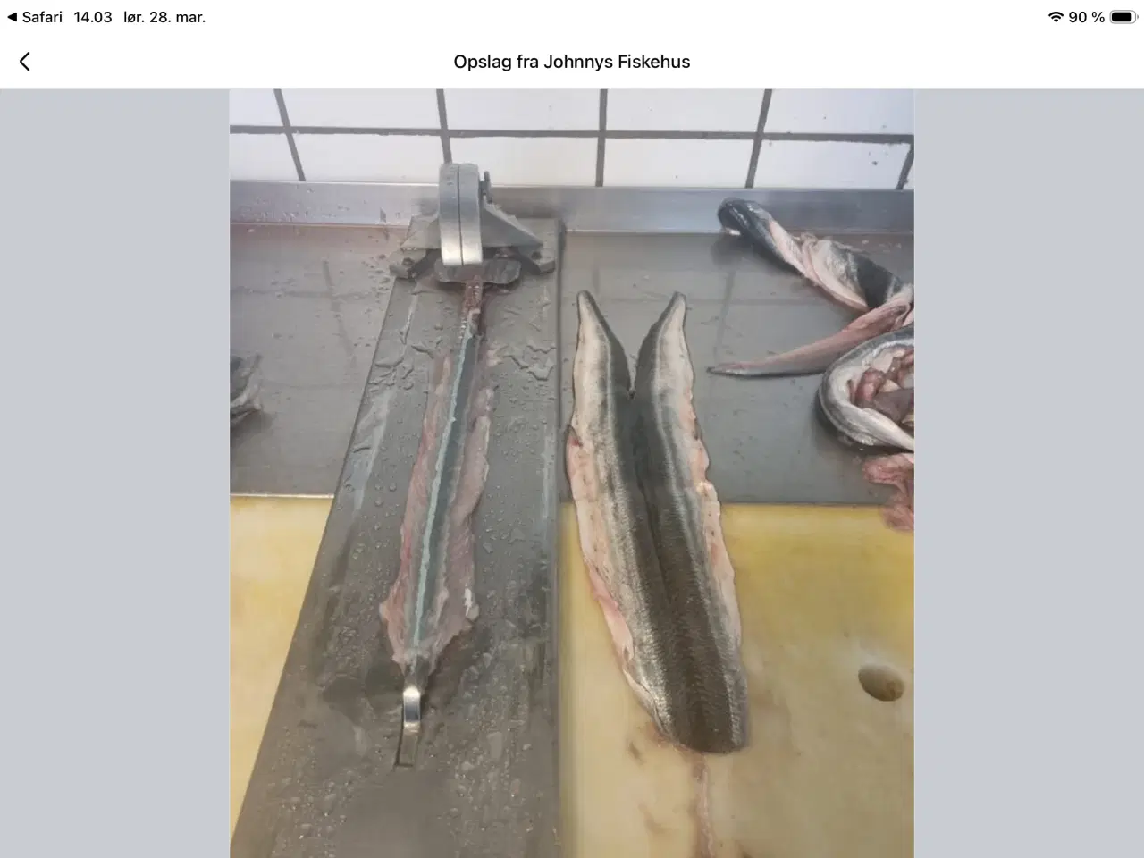 Billede 1 - KØBES 1 STK HORNFISK UDBENER JERN I RUSTFRIT STÅL 