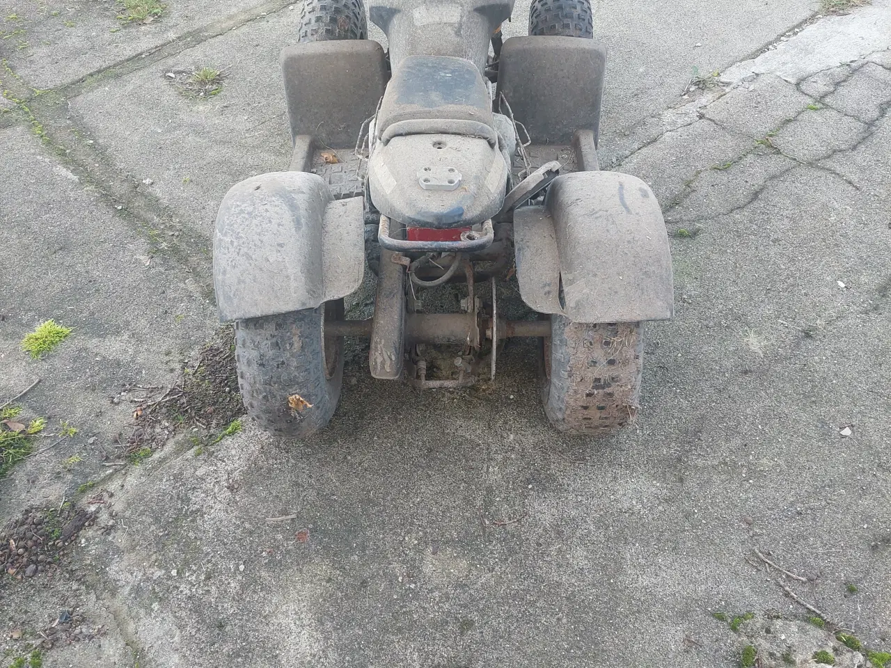 Billede 3 - Kitten ATV 50cc