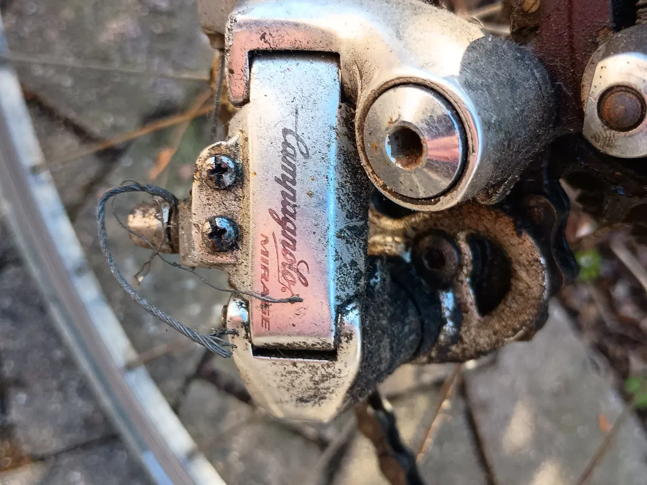 Billede 7 - Columbus ramme med Campagnolo udstyr.