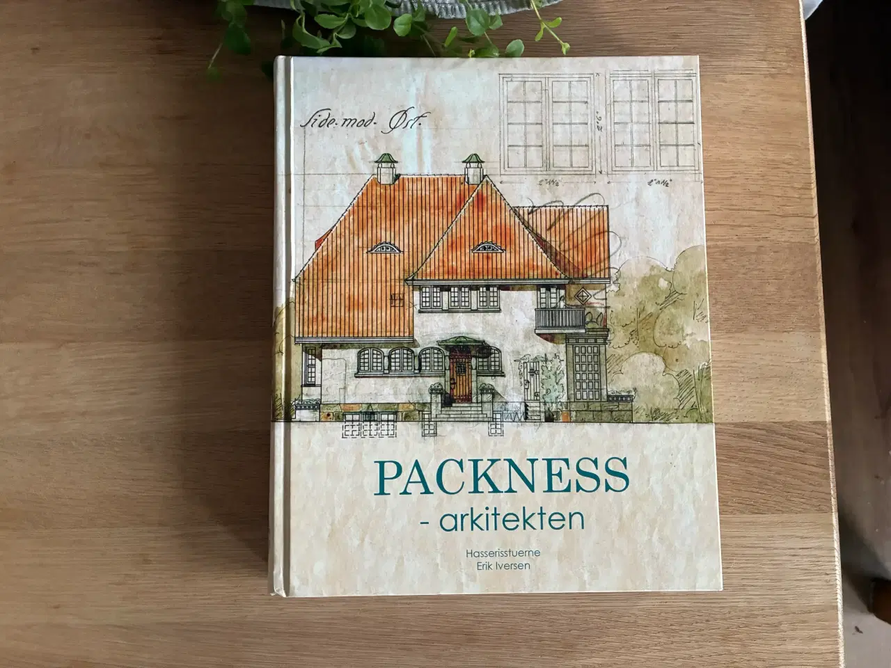 Billede 1 - PACKNESS - arkitekten