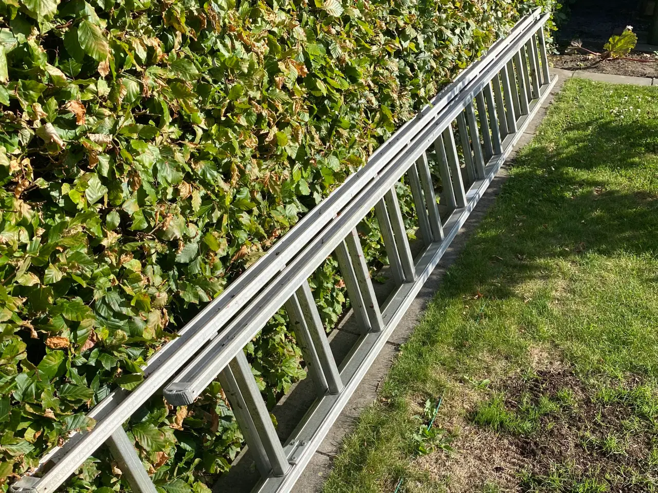 Billede 2 - Stige 8 meter   God stand 