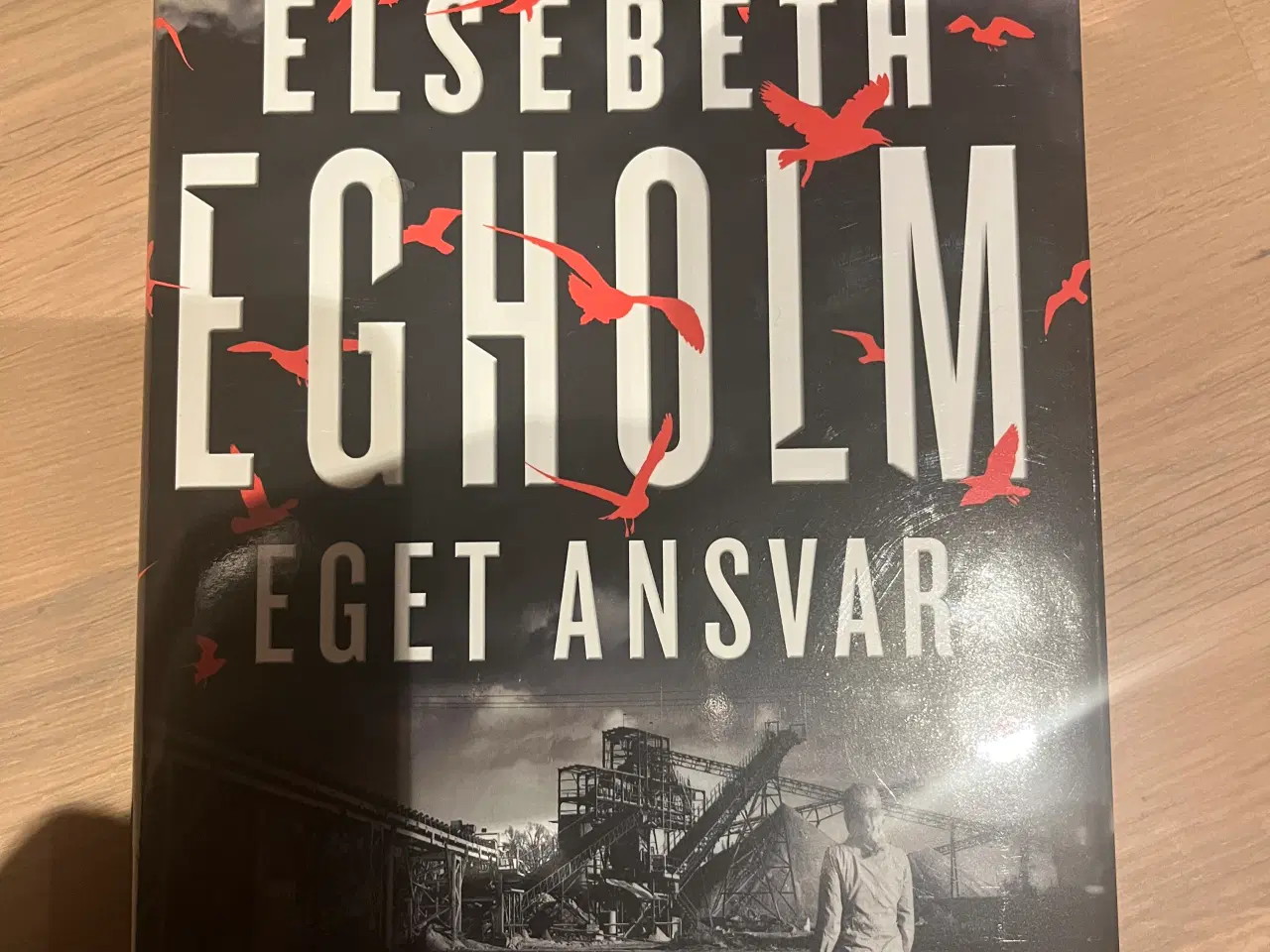 Billede 1 - Elsebeth Egholm - Eget ansvar