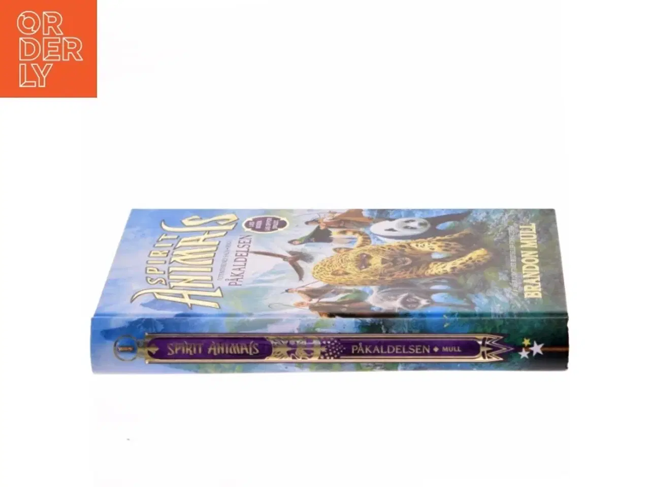 Billede 2 - Spirit animals - påkaldelsen af Brandon Mull (Bog)