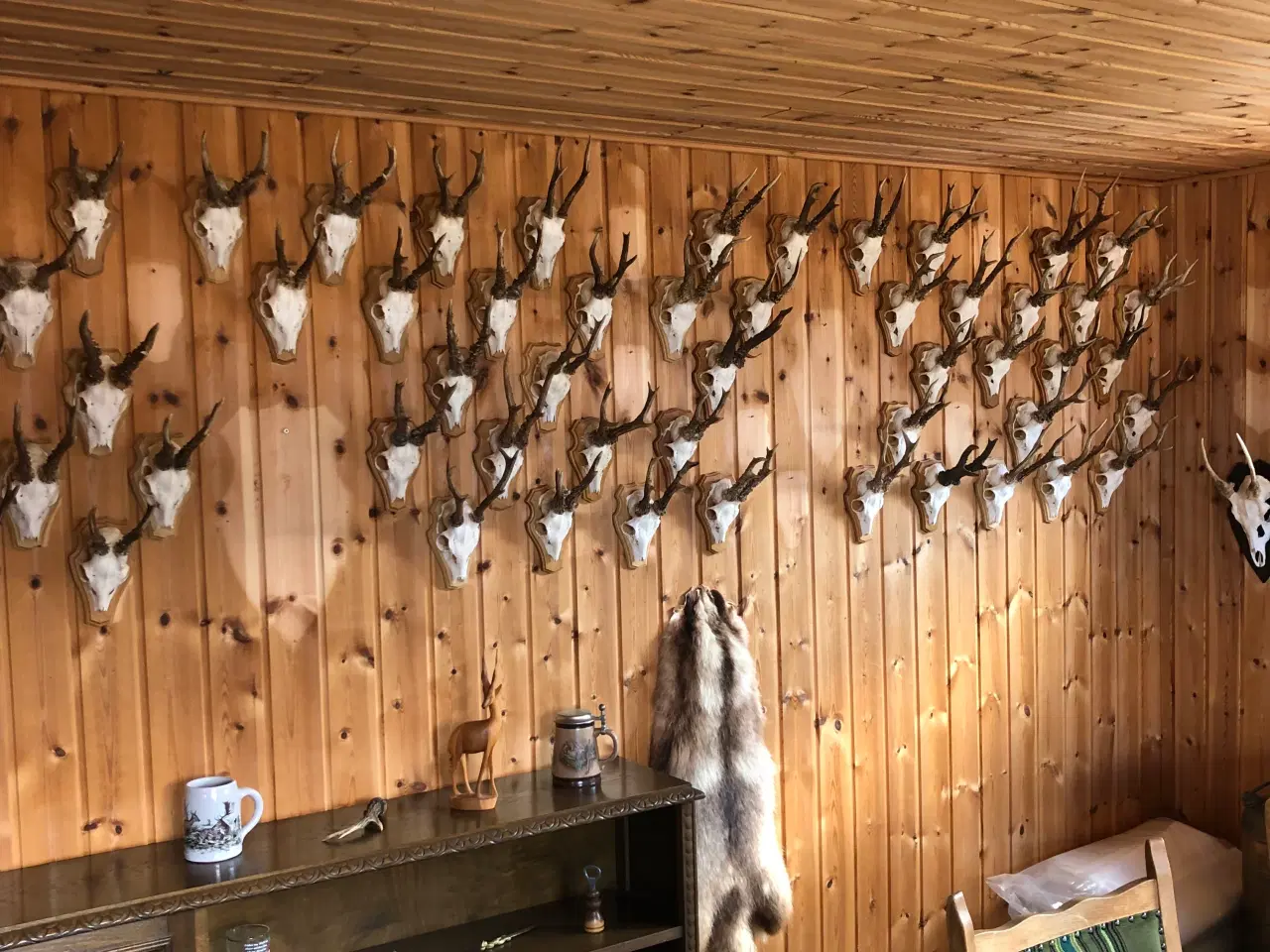 Billede 1 - Opsatser fra råbukke