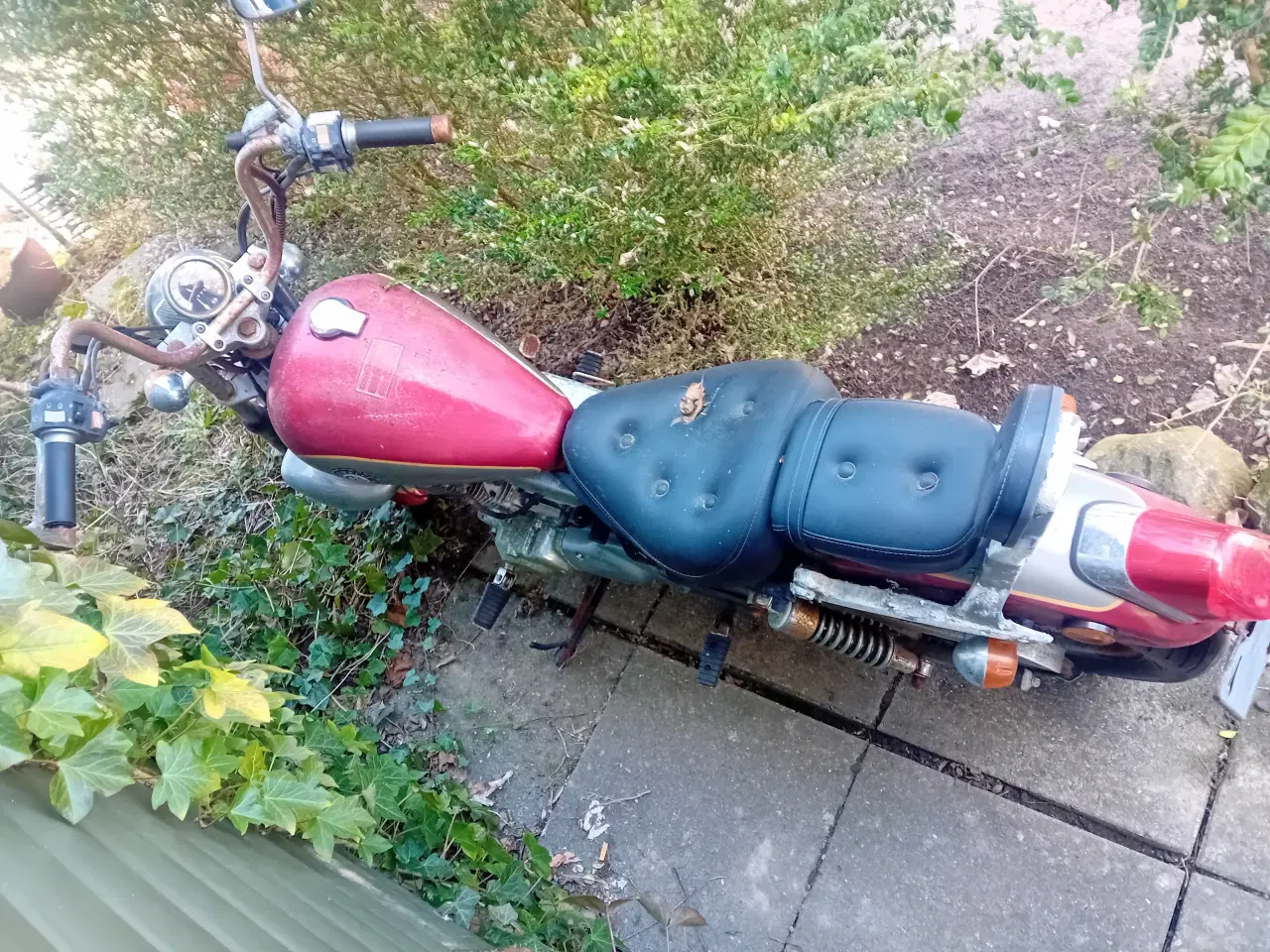 Billede 8 - Ledow Borelli