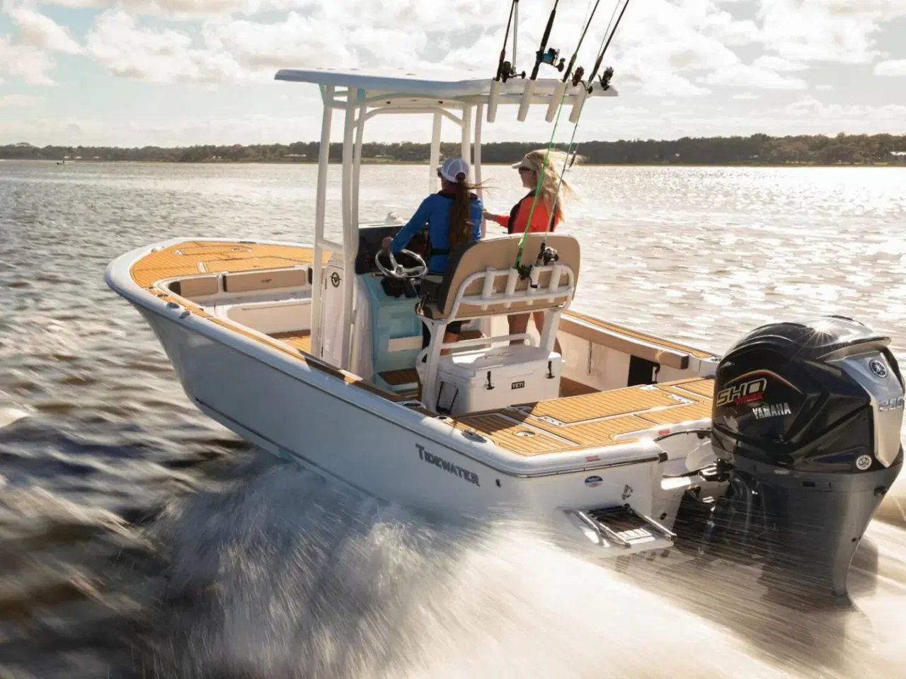 Billede 3 - Yamaha VF250 SHO