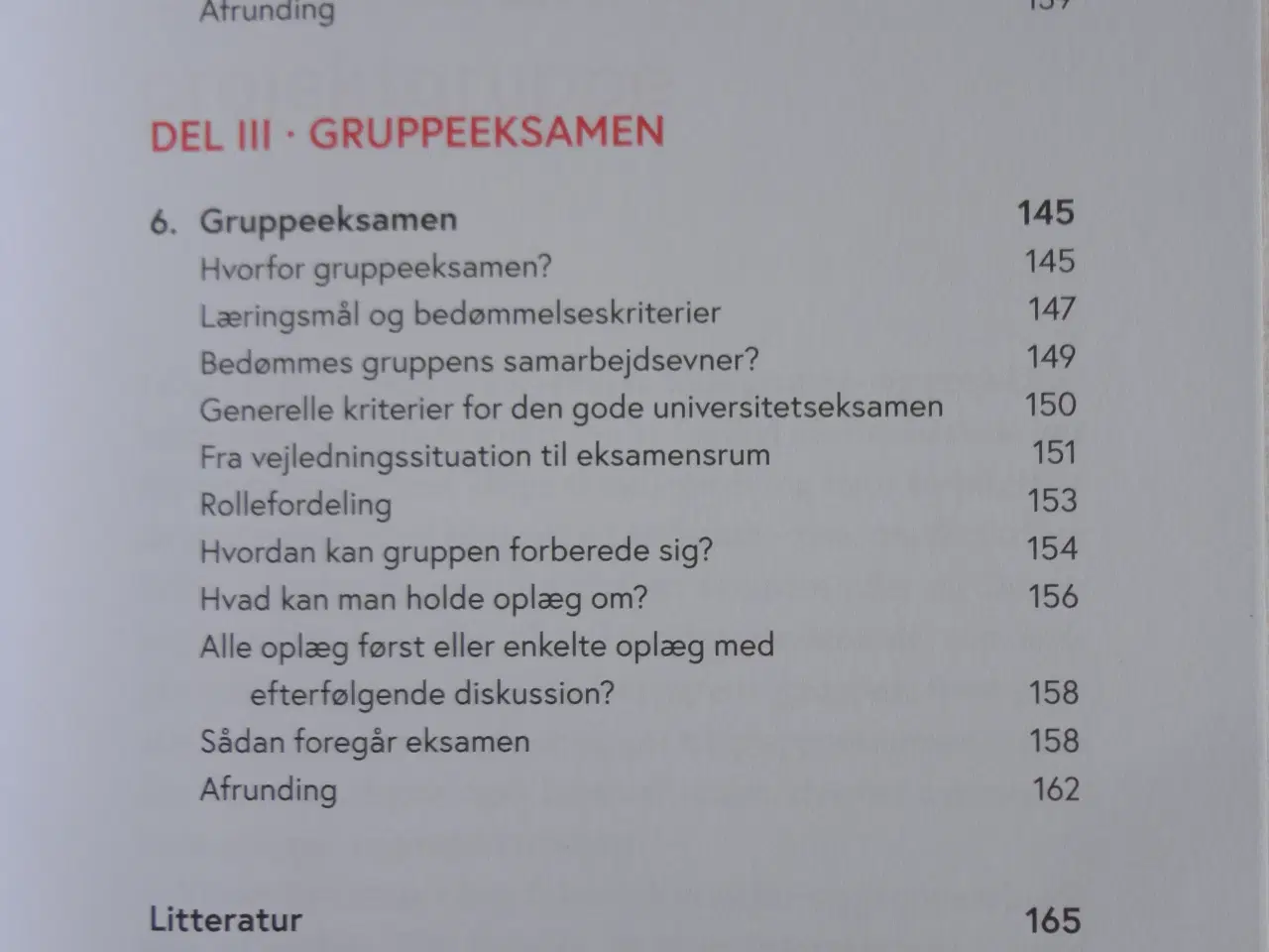 Billede 4 - Projektgruppen - hvordan gør vi ?