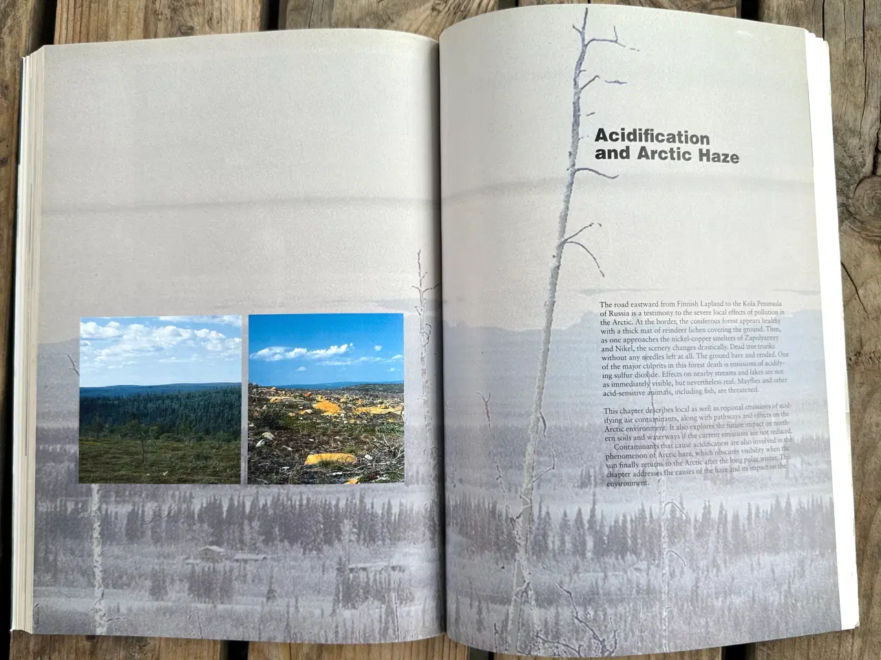 Billede 8 - Artic Pollution Issues