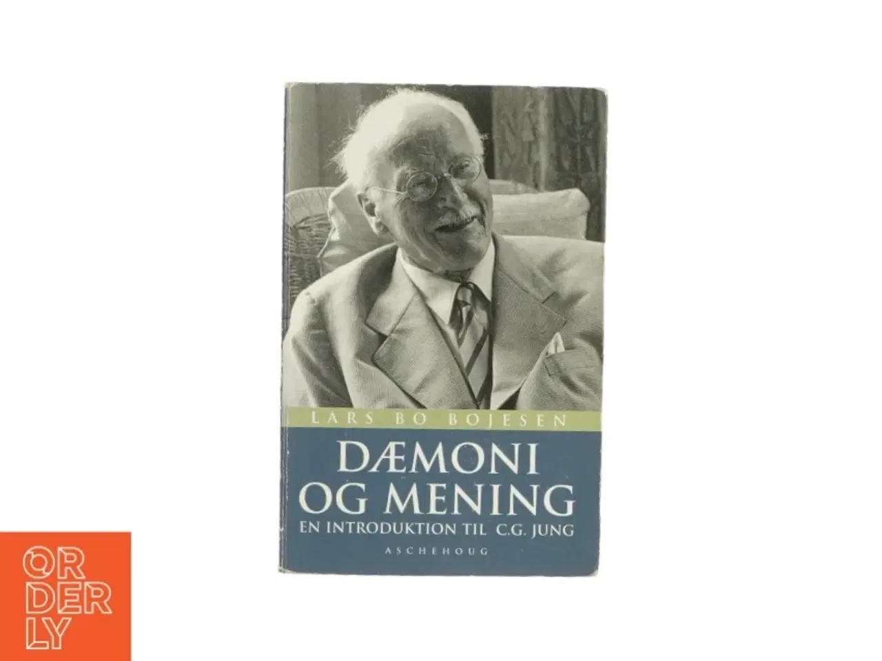 Billede 1 - Dæmoni og mening - En introduktion til C.G. Jung af Lars Bo Bojesen (Bog)