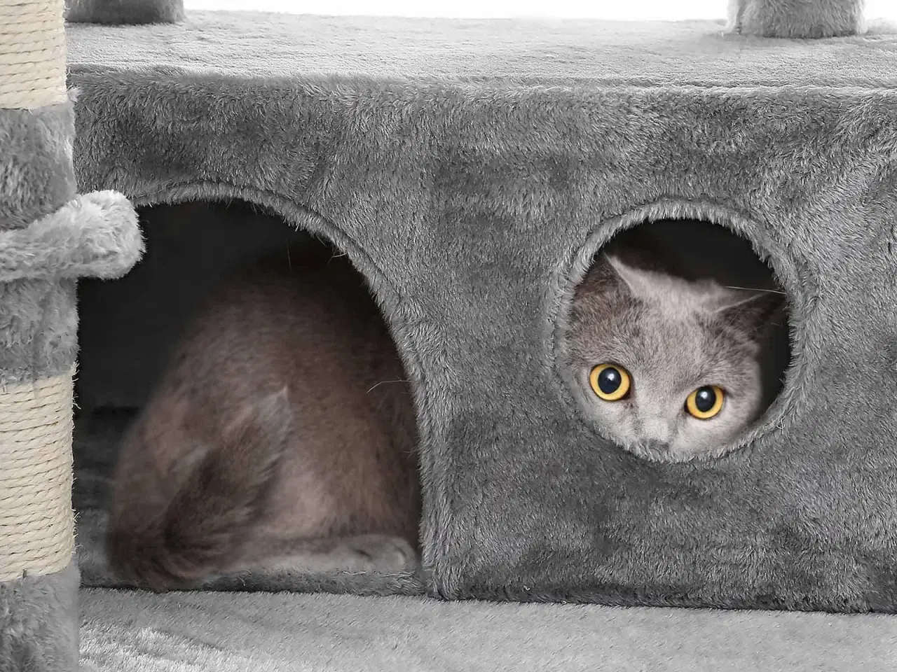 Billede 5 - Klatretræ til kat – FEANDREA, XXL kattetræ med hule, 164 cm, lysegrå